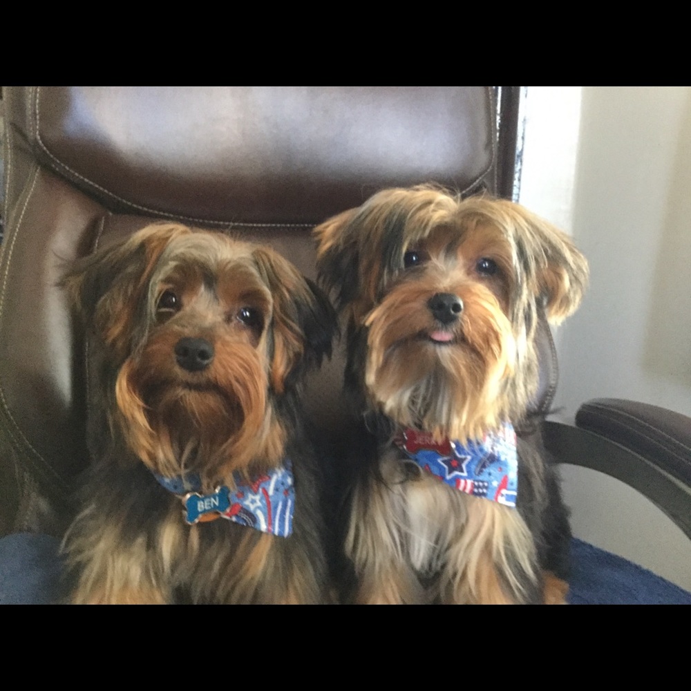 Meet your Posher, Patricia